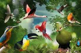 My Image